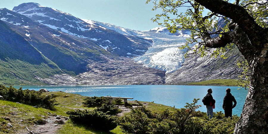 Ледники Норвегии