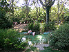Территория фламинго в зоопарке Барселоны